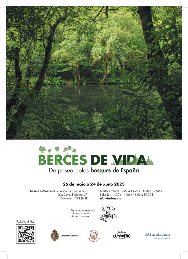 Exposición BERCES DE VIDA. De paseo polos bosques de España